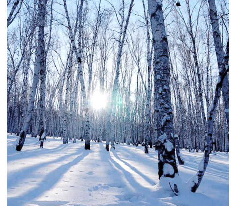籃球館木地板鋪裝前地面要保證干燥