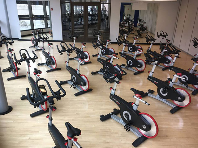 健身房運(yùn)動木地板,運(yùn)動木地板廠家,運(yùn)動木地板廠家,歐氏體育地板