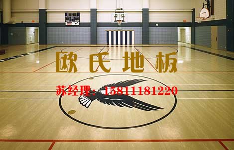 籃球館專用運(yùn)動木地板——?dú)W氏地板