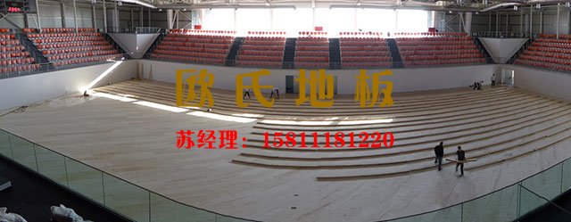 專(zhuān)業(yè)舞臺(tái)木地板生產(chǎn)廠(chǎng)家——?dú)W氏舞臺(tái)木地板