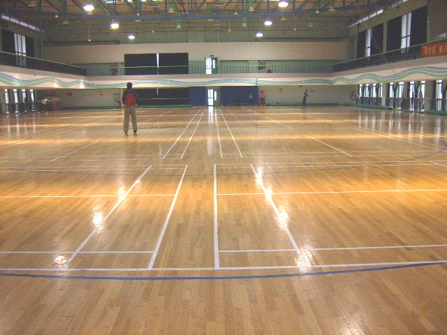 專業籃球館的設計標準，您知道嗎