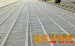 青?；@球場地板多少錢