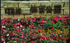 夏天炎熱雨季來臨，專業運動木地板該怎樣維護