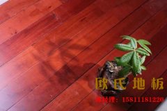 我們真正了解羽毛球運動木地板嗎，知道它的優(yōu)勢在哪嗎