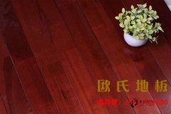 怎樣選購籃球木地板？