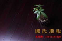 歐氏籃球木地板堅(jiān)持技術(shù)創(chuàng)新