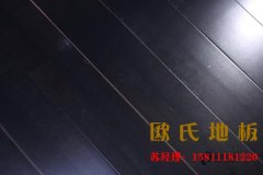 運動木地板球線區域出現問題如何處理