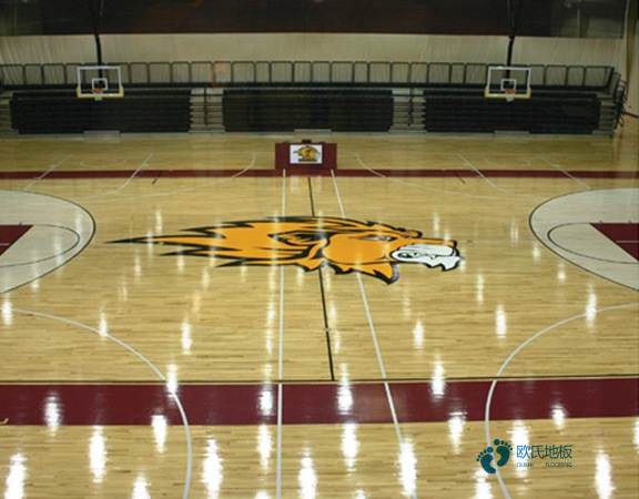 室內(nèi)運(yùn)動(dòng)場(chǎng)地木質(zhì)地板的核心